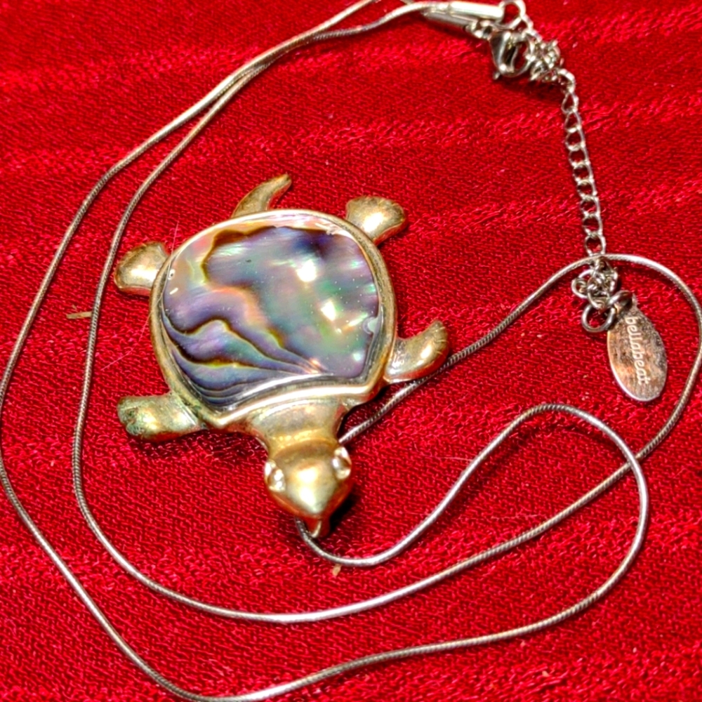 Vintage abalone turtle necklace